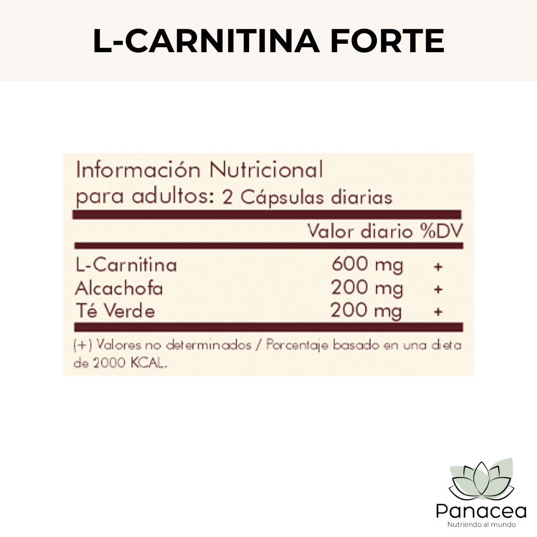 Info Nut L-carnitina Forte